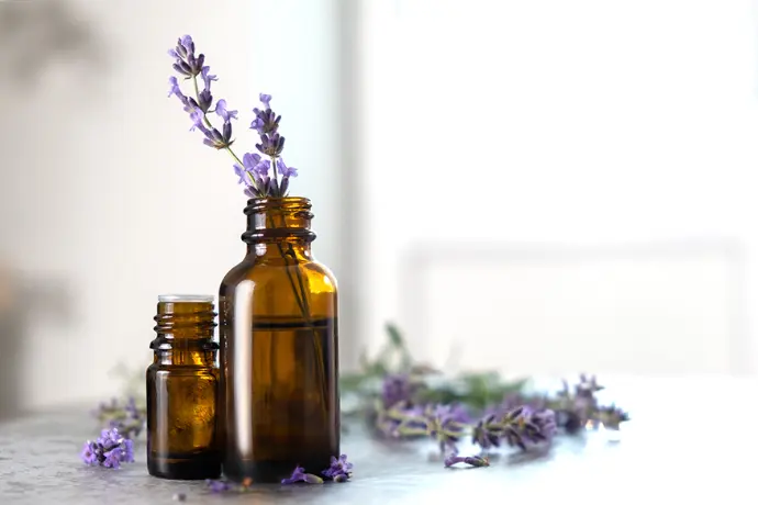 Lavendel mit entspannender Wirkung