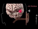 ForgTin® CARE - Animation